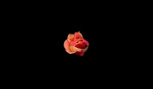Preview wallpaper rose, bud, darkness, flower, minimalism