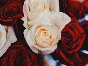Preview wallpaper rose, bud, flower, petals