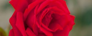 Preview wallpaper rose, bud, macro, red, petals