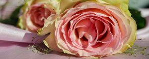 Preview wallpaper rose, bud, petals, pink