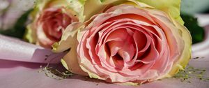 Preview wallpaper rose, bud, petals, pink