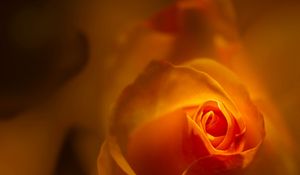 Preview wallpaper rose, bud, petals, orange, blur, flower