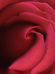 Preview wallpaper rose, bud, petals, macro, red