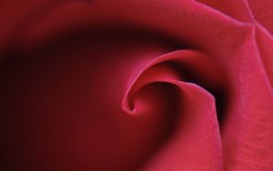 Preview wallpaper rose, bud, petals, macro, red