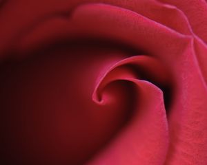 Preview wallpaper rose, bud, petals, macro, red