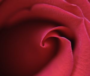 Preview wallpaper rose, bud, petals, macro, red