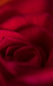 Preview wallpaper rose, bud, petals, flower, red, macro