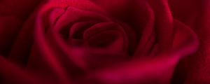 Preview wallpaper rose, bud, petals, flower, red, macro