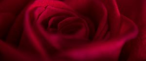 Preview wallpaper rose, bud, petals, flower, red, macro