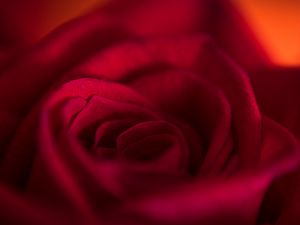 Preview wallpaper rose, bud, petals, flower, red, macro