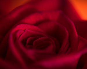 Preview wallpaper rose, bud, petals, flower, red, macro