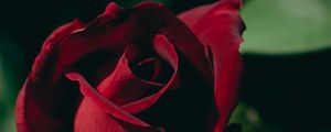 Preview wallpaper rose, bud, petals, macro, red, blur