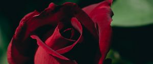 Preview wallpaper rose, bud, petals, macro, red, blur