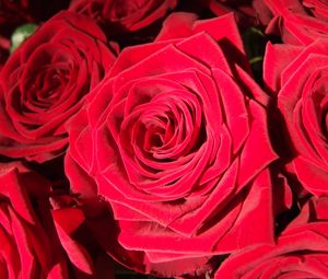 Preview wallpaper rose, bud, red, petals, close-up