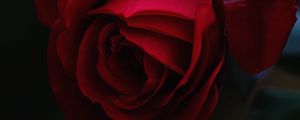 Preview wallpaper rose, bud, red