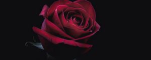 Preview wallpaper rose, bud, red, dark, close-up