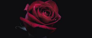 Preview wallpaper rose, bud, red, dark, close-up
