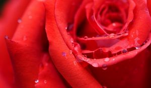 Preview wallpaper rose, bud, red, wet, dew, drops