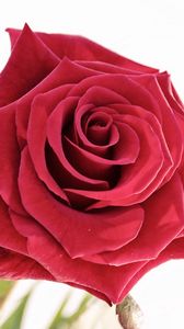 Preview wallpaper rose, bud, red, petals, beautiful