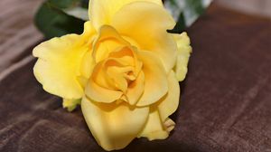 Preview wallpaper rose, bud, yellow, petals