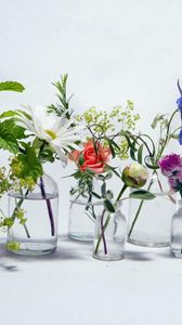 Preview wallpaper rose, chamomile, bluebells, flowers, jars, water