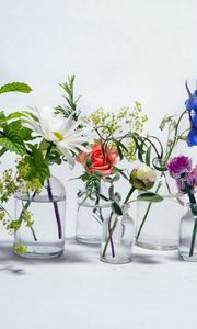 Preview wallpaper rose, chamomile, bluebells, flowers, jars, water