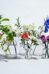 Preview wallpaper rose, chamomile, bluebells, flowers, jars, water