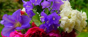 Preview wallpaper rose, clematis, bells, flower, blurriness