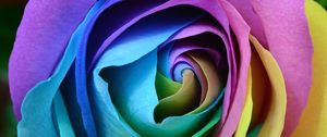Preview wallpaper rose, colorful, bud, close-up
