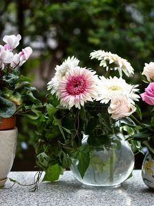 Preview wallpaper rose, cyclamen, gerbera, flowers, jars, pot