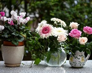 Preview wallpaper rose, cyclamen, gerbera, flowers, jars, pot