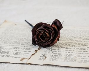 Preview wallpaper rose, dry, flower, pages