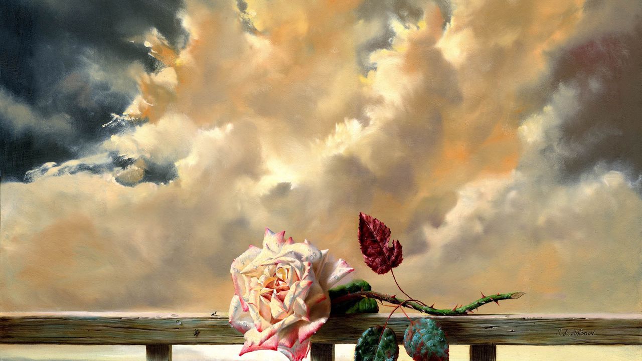 Wallpaper rose, dry, sky, clouds