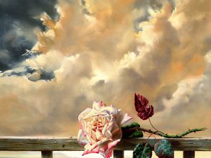 Preview wallpaper rose, dry, sky, clouds