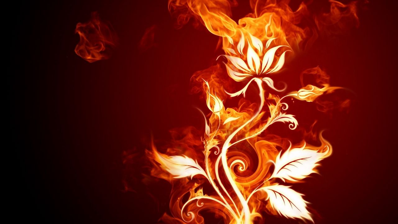 Wallpaper rose, fire, patterns, backgrounds