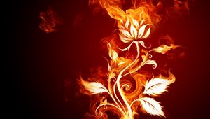 Preview wallpaper rose, fire, patterns, backgrounds