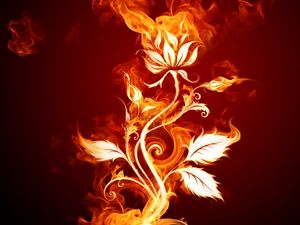 Preview wallpaper rose, fire, patterns, backgrounds