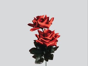 Preview wallpaper rose, flower, artificial, minimalism