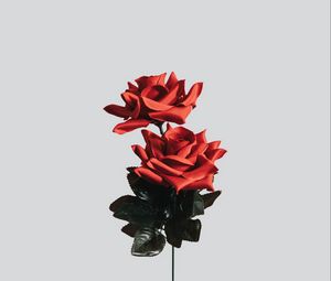 Preview wallpaper rose, flower, artificial, minimalism