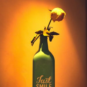 Preview wallpaper rose, flower, bottle, inscription, light