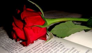 Preview wallpaper rose, flower, bud, book, text