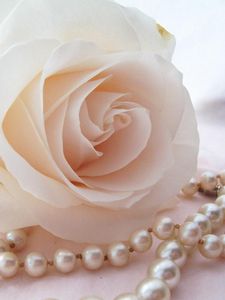 Preview wallpaper rose, flower, bud, tenderness, beads, pearls, close-up