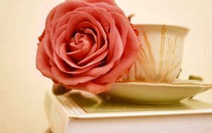 Preview wallpaper rose, flower, bud, cup, book