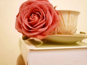 Preview wallpaper rose, flower, bud, cup, book