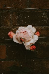 Preview wallpaper rose, flower, buds, pink, bloom, wall, brick