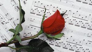 Preview wallpaper rose, flower, drop, notes, music