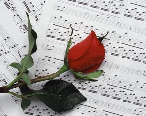 Preview wallpaper rose, flower, drop, notes, music