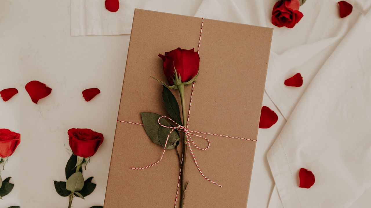 Wallpaper rose, flower, envelope