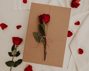 Preview wallpaper rose, flower, envelope