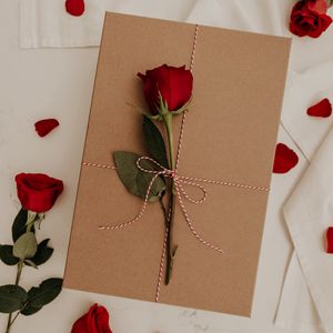 Preview wallpaper rose, flower, envelope